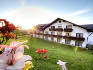 Urlaubshotel Binder ***, Büchlberg, Bayerischer Wald